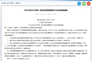 喜訊! 河北榮豐榮獲“專精特新”企業(yè)稱號