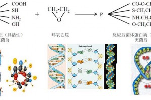 醫(yī)療產(chǎn)品環(huán)氧乙烷(EO)滅菌原理、應用、檢測及控制事項